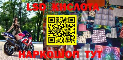 сатива Камышлов