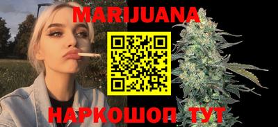 сатива Камышлов