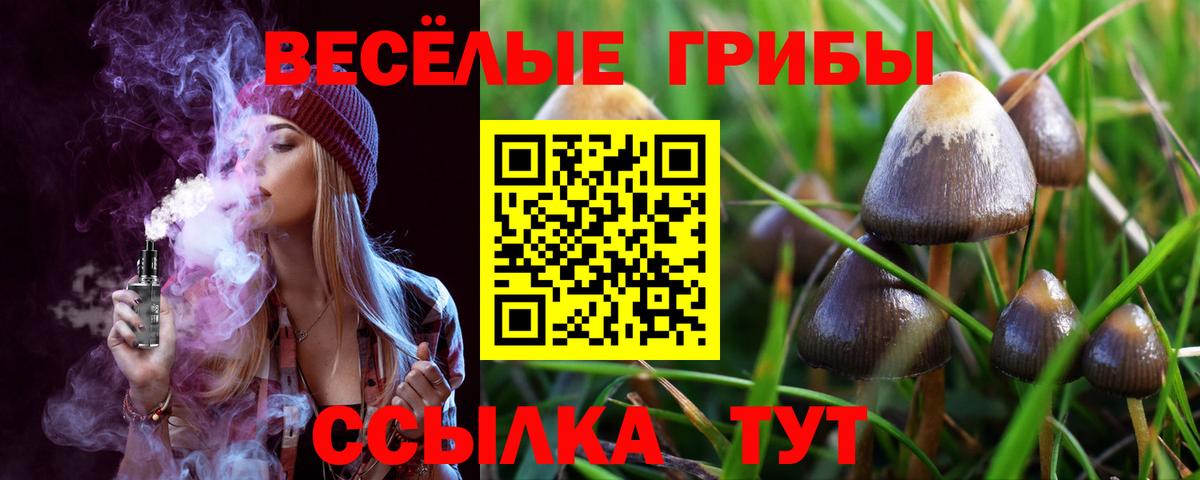 Галлюциногенные грибы Psilocybine cubensis Дубна